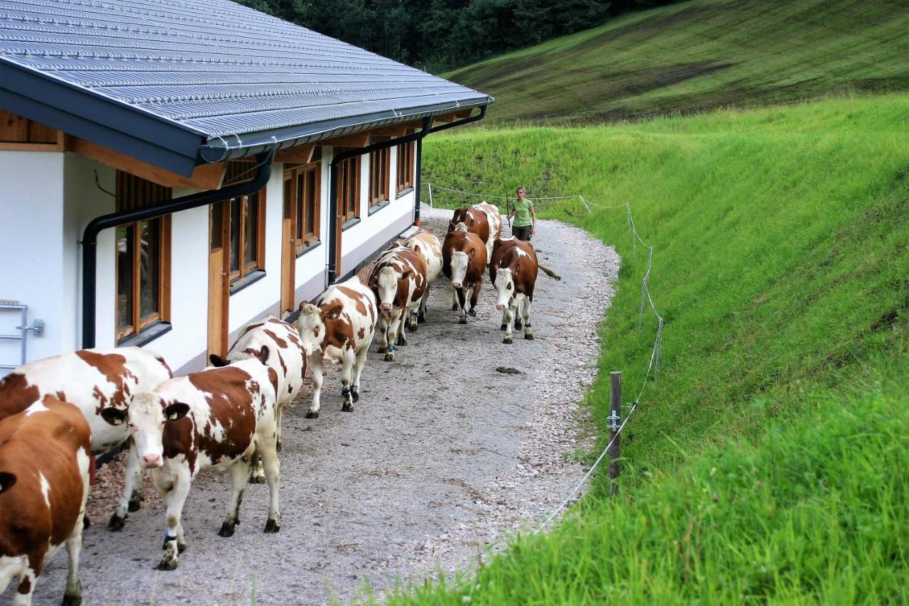 Schartlhof Villa Flachau Kültér fotó