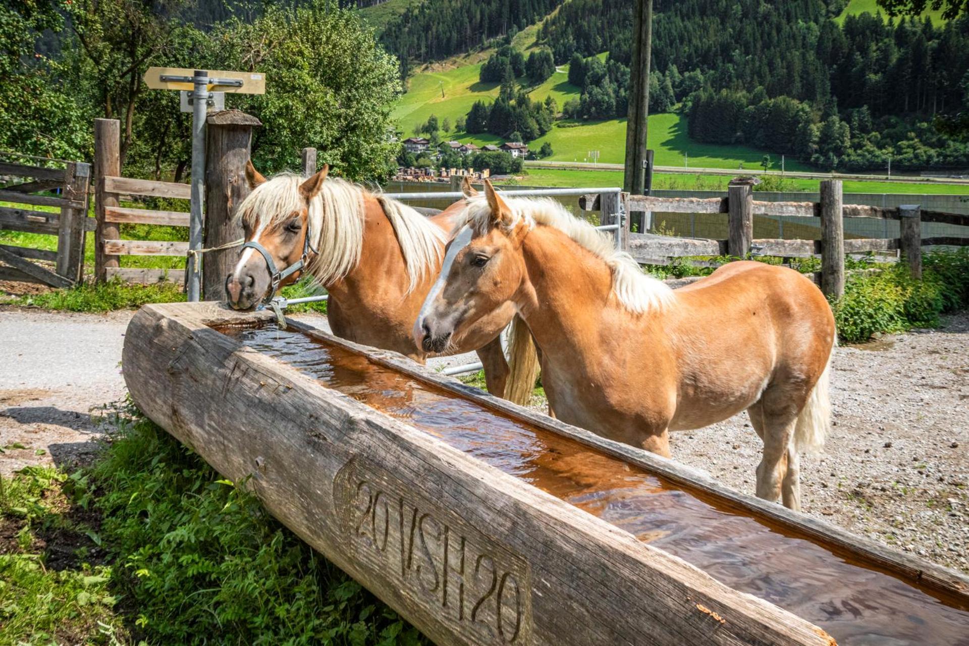 Schartlhof Villa Flachau Kültér fotó