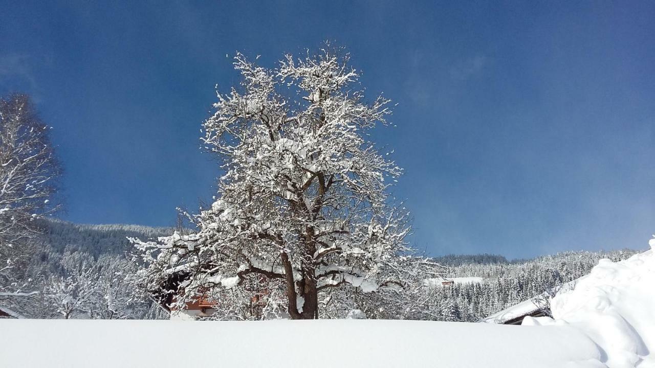 Schartlhof Villa Flachau Kültér fotó