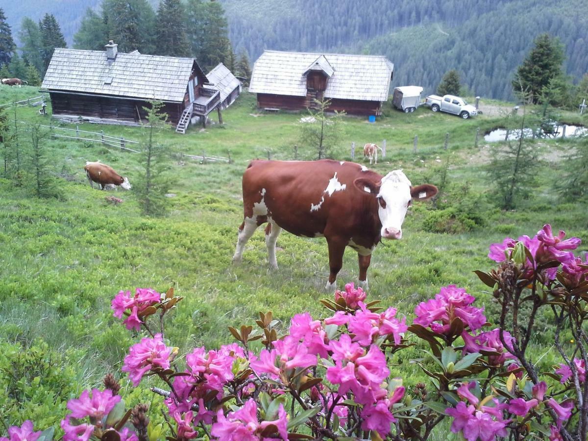Schartlhof Villa Flachau Kültér fotó
